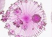 Viral loop network